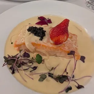 Salmon