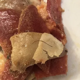 Hair in my PIZZA! A HAIR embedded!!!