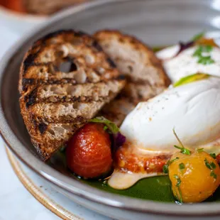 organic burrata