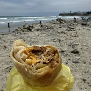 Carnitas California Burrito