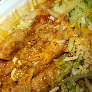 Cheese Enchiladas