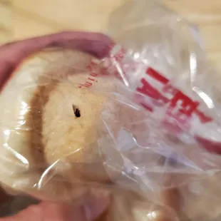 Bug baked into the bread