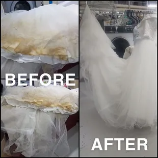 Don't let your friendly pets ruin your precious memories, bring it in and see what we can do to restore it! (Preserving available)