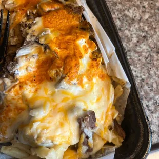 Carne asada fries not adobada