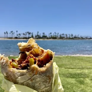 Man Oh Man Philly Burrito