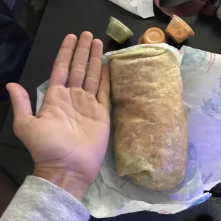 Pollo Asada