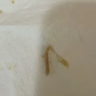 Toothpick or bone in my food?