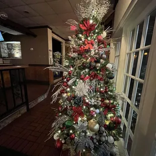 Love the tree-December 2024