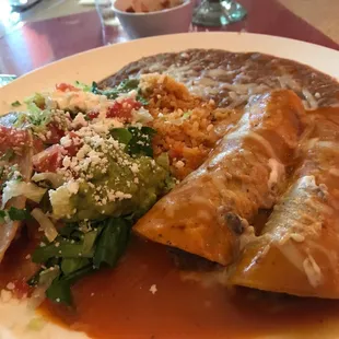 Shredded Beef Enchilada