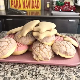 Conchas are my life