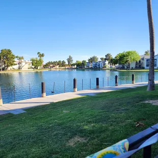 A view of the lake.