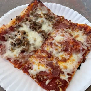 Slice of pepperoni / slice of what they said was sausage, not sure Pizza - Cheese