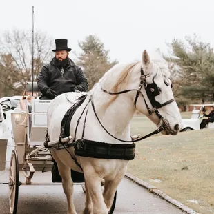 Horse and carriage !