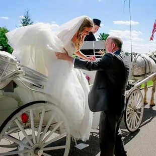 Magical Horse and Carriage Ceremonies.