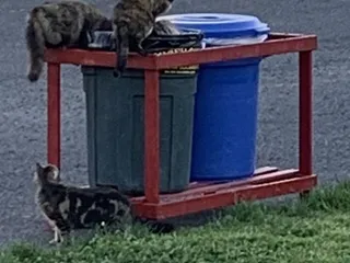 Napa Valley Expo RV Park