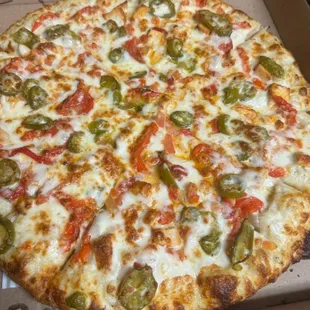 Large Chicken Tika with added jalapenos and tomatoes