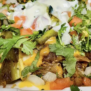 Small Carnitas nachos