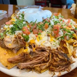 Small carnitas nachos