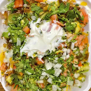 Small Carnitas nachos