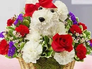 Heavens Scent Floral Shop