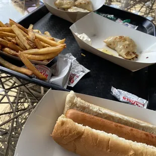 Delicious homemade fries, homemade pierogis, hotdogs and chili dogs!!!(were eaten too quickly to get a pic!)
