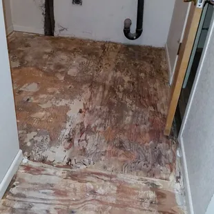 This is how they've left my floors for 4 months. Covered in MOLD spores.