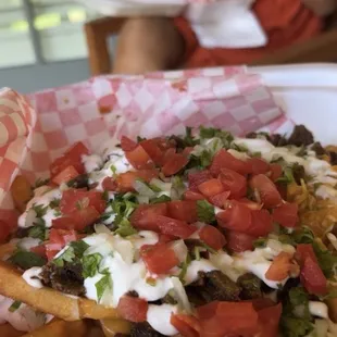 French fries carne asada