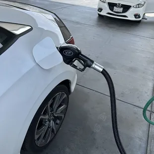 Getting filled up....
