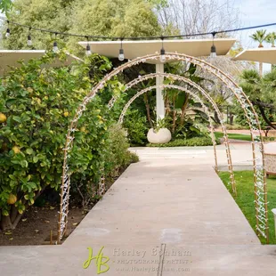 Photo credit: https://www.harleybonham.com/