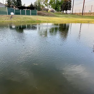 Careful of those water hazards