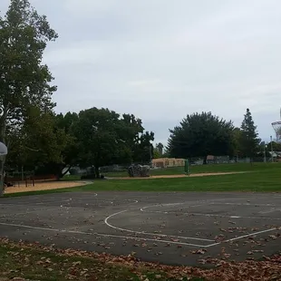 Full court basketball