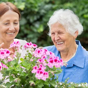Alzheimer's and Dementia Care