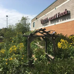The Teaching Garden has pollinators as well as local and edible plants.