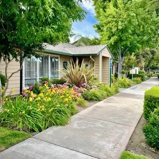 Plush Garden throughout