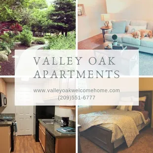 Welcome to Valley Oak Apartments