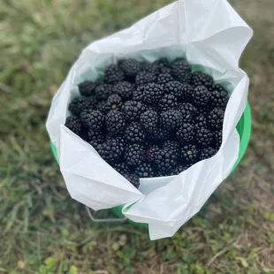 20 minutes worth of work and so worth it