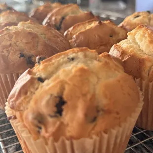 Blueberry muffins