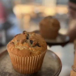 Blueberry Muffin