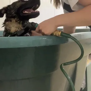 Kisses for the best dog ever!