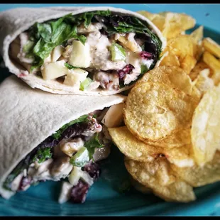 Chicken, Apple, Walmut,Cranberry, Salad Wrap
