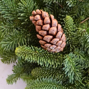 Christmas Wreath Valley View Christmas Trees