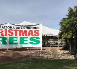 Tucson Boys Chorus Christmas Tree Lot