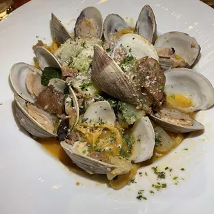 pasta, food, pasta dish