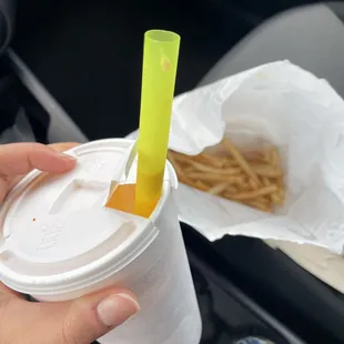 Pumpkin pie milkshake and French fries