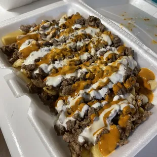 Carne Asada Fries