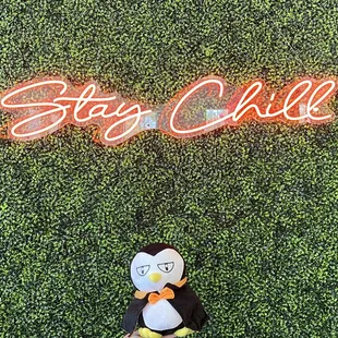 Vampire Penguin is chillin&apos;