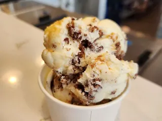 Spotty Dog Ice Cream