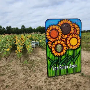Photo op and pick your own flower