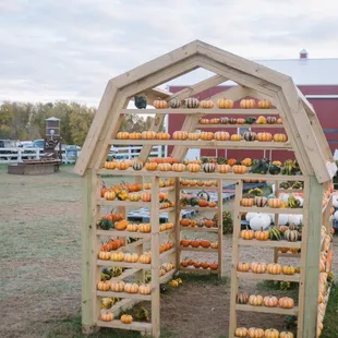Cute pumpkin "barn" for pictures