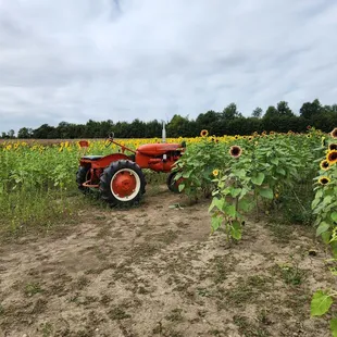 Photo op tractor